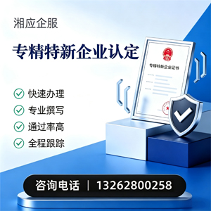 淮安专精特新企业申报服务
