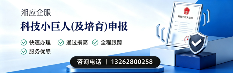 淮安科技小巨人及培育企业申报服务