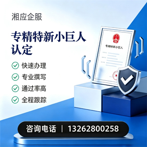 淮安专精特新小巨人申报服务
