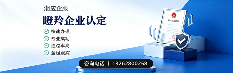 淮安瞪羚企业认定申报服务