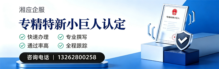 淮安专精特新小巨人申报服务